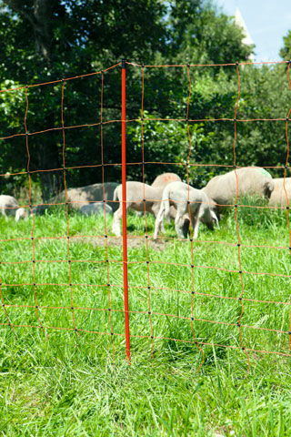 Afbeeldingen van AKO Paaltje Rood 108cm v. schapennet dubbele pen