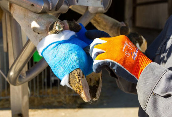 Afbeeldingen van Handschoen Fijn gebreid ActivGrip XA325 oranje mt 8