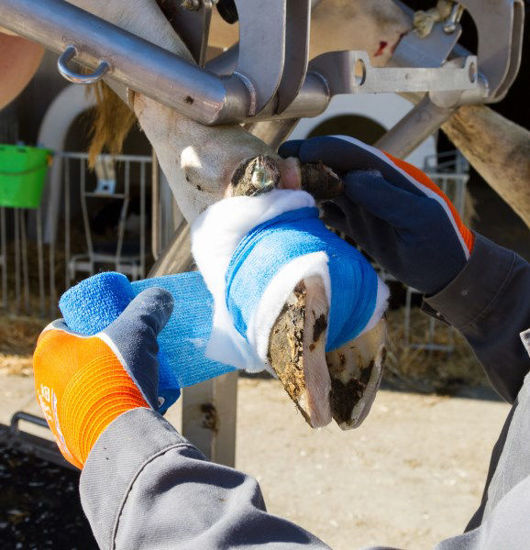 Afbeeldingen van Handschoen Fijn gebreid ActivGrip XA325 oranje mt 8