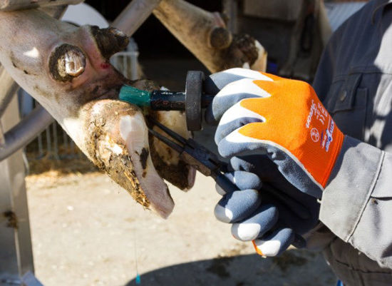 Afbeeldingen van Handschoen Fijn gebreid ActivGrip XA325 oranje mt 9