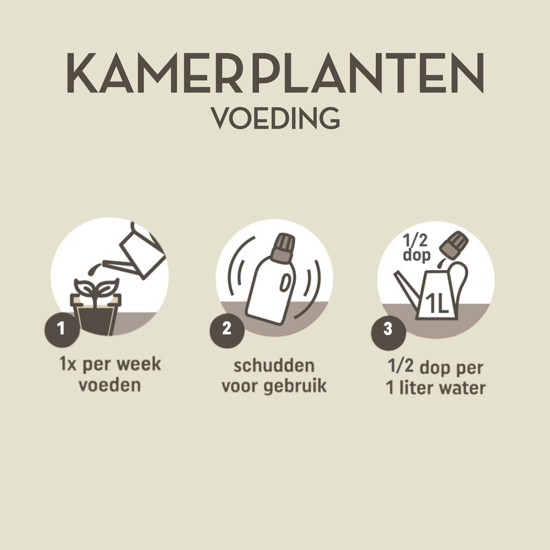 Afbeeldingen van Pokon Kamerplanten Voeding 500ml