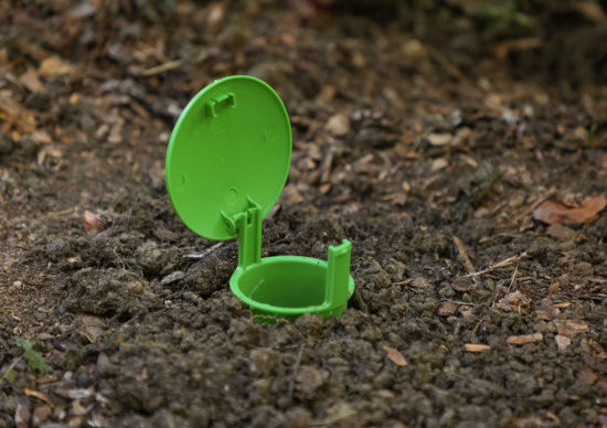 Afbeeldingen van Slakkenval SnailBowl, 15cm