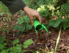 Afbeeldingen van Slakkenval SnailBowl, 15cm