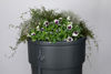 Afbeeldingen van Regenton GardenPlanter 230L