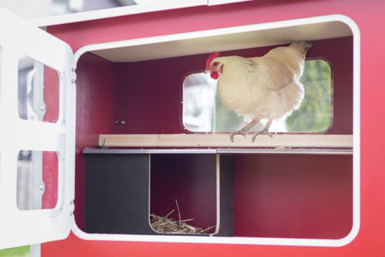 Afbeeldingen van MobileCoop houten kippenhok