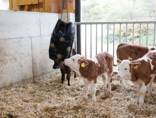 Afbeeldingen van Hooizak -Hay Bag- groot