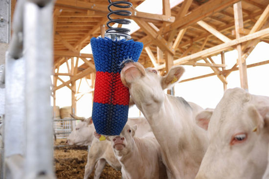 Afbeeldingen van HappyCow veeborstel FlexiSwing