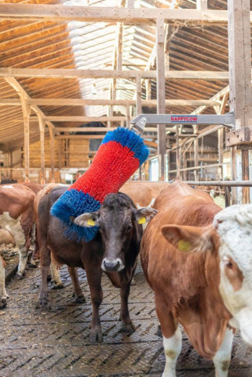 Afbeeldingen van HappyCow veeborstel FreeMaxi