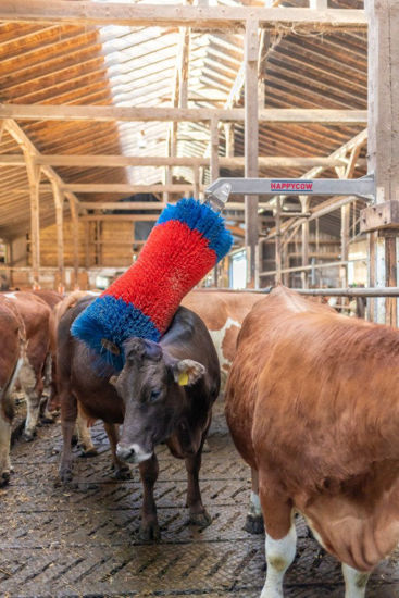 Afbeeldingen van HappyCow veeborstel FreeMaxi