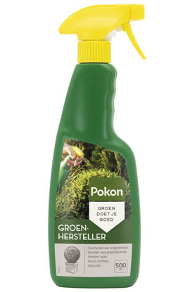 Afbeeldingen van Pokon Groenhersteller 500ml