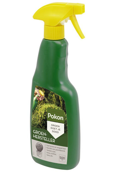 Afbeeldingen van Pokon Groenhersteller 500ml