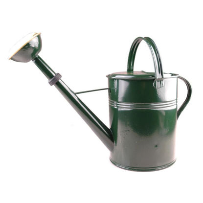 Afbeeldingen van Gieter groen gelakt, messing broes, 9L