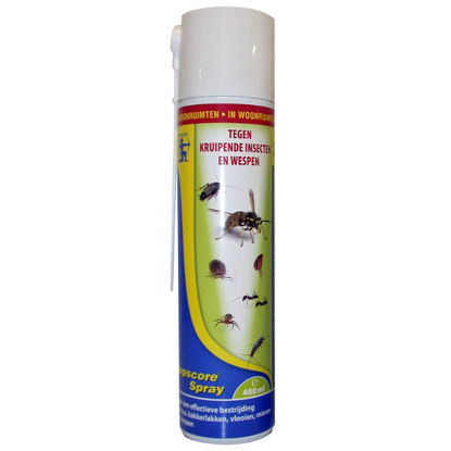 Afbeeldingen van TopScore Kruipende insekten/ wespenspray, 400ml -12744N-