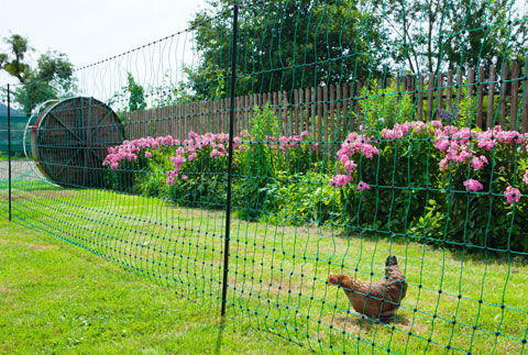 Afbeeldingen van AKO Kippennet 106cm-50m. enkele pen -GROEN-