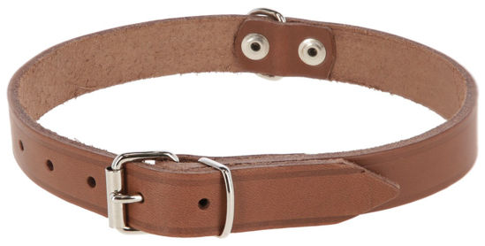 Afbeeldingen van Hondenhalsband leer 25mm, Taupe