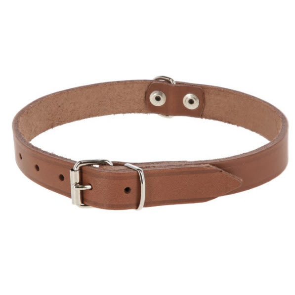 Afbeeldingen van Hondenhalsband leer 10mm, taupe