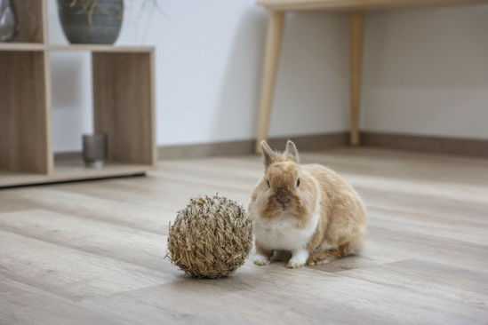 Afbeeldingen van Grasbal ø 13 cm.