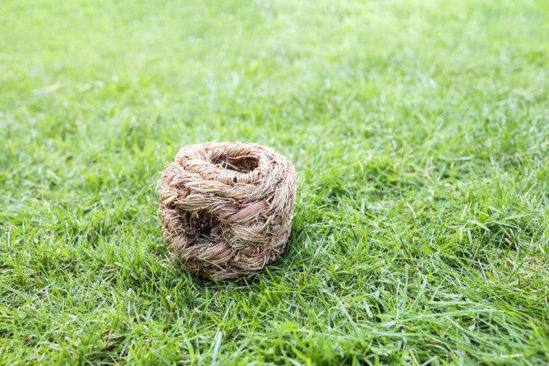 Afbeeldingen van Grasbal ø 13 cm.