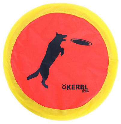 Afbeeldingen van Nylon frisbee 24 cm neonkleur