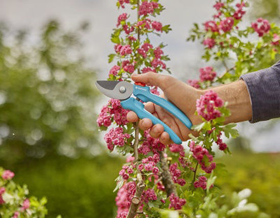 Afbeeldingen van Gardena Snoeischaar EasyCut