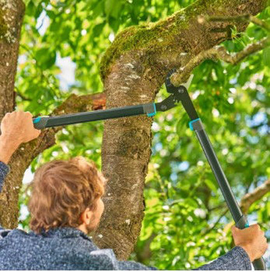 Afbeeldingen van Gardena Takkenschaar aambeeld EnergyCut pro